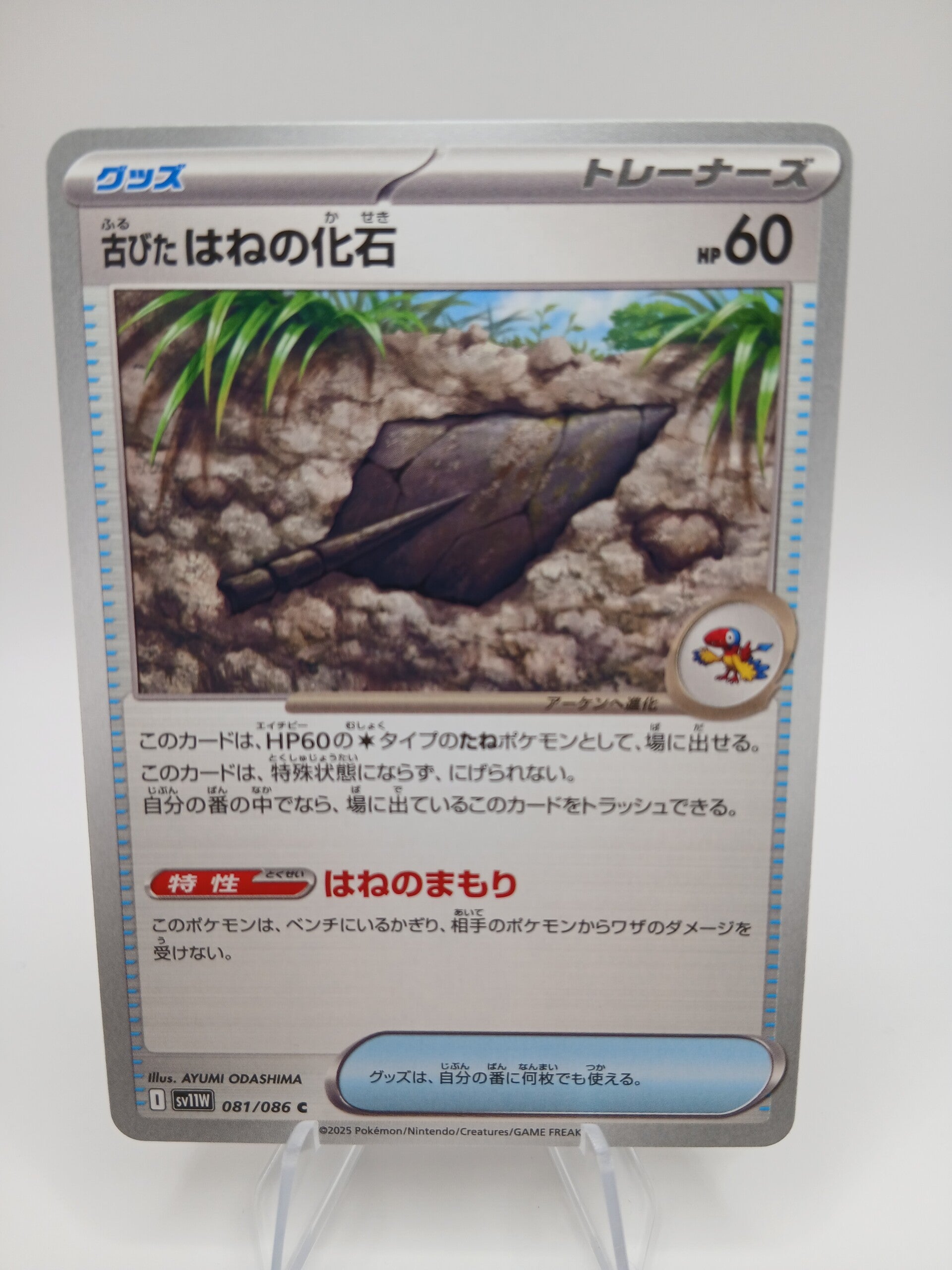 pokemon - antique plume fossil - 81 - white flare - normal - japans