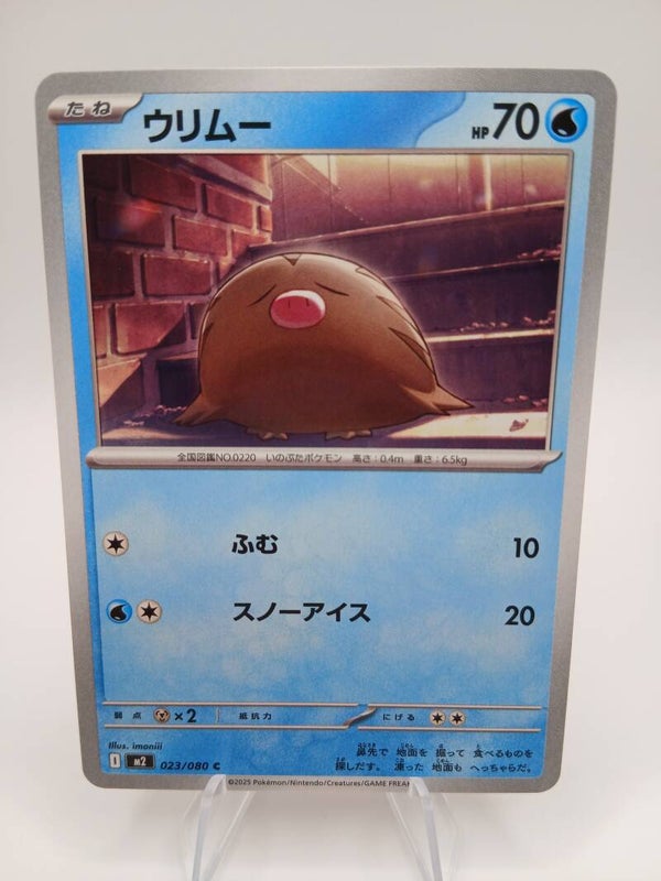 pokemon - swinub - 23 - inferno x - normal - japans