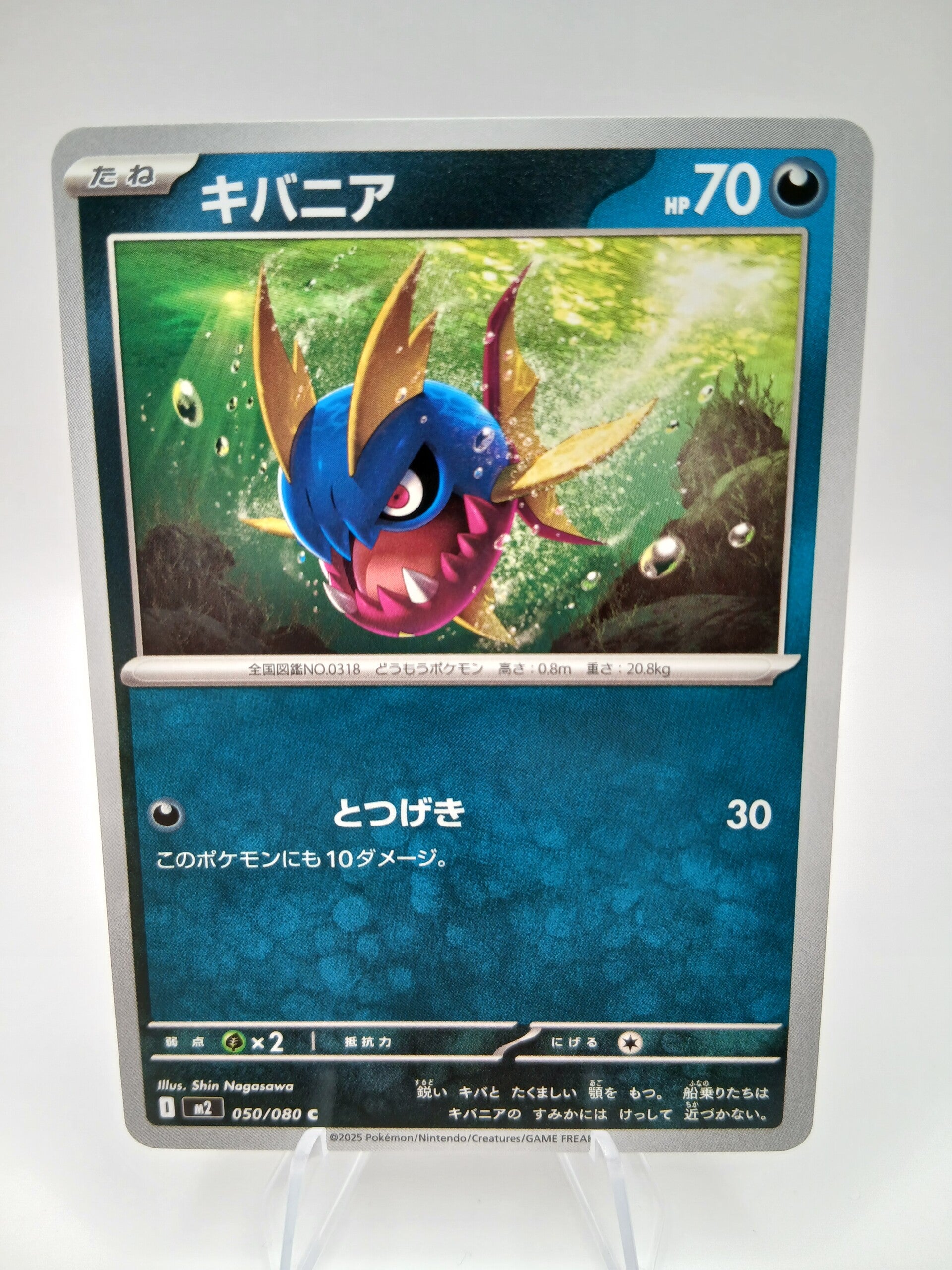 pokemon - carvanha - 50 - inferno x - normal - japans