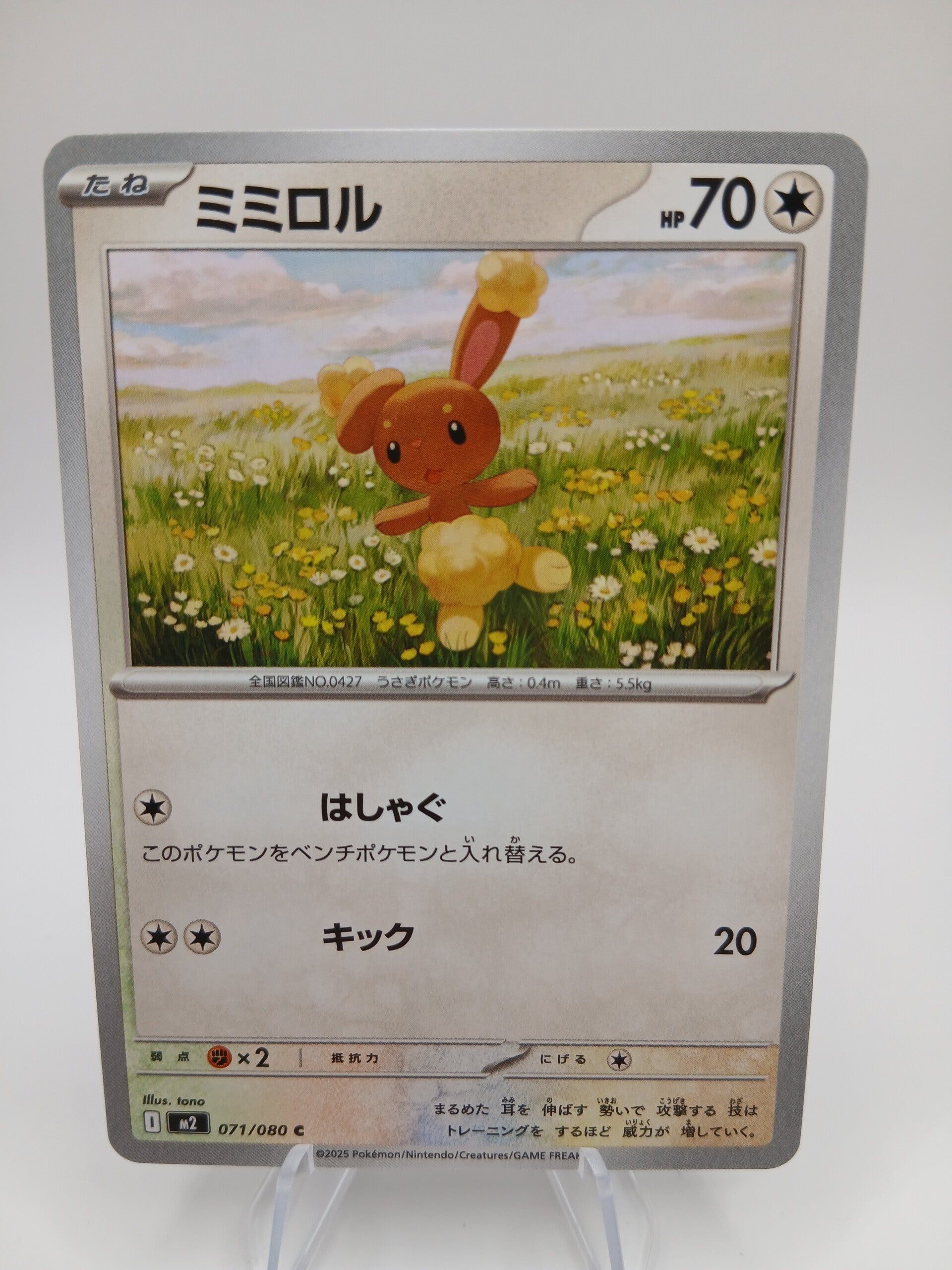 pokemon - buneary - 71 - inferno x - normal - japans