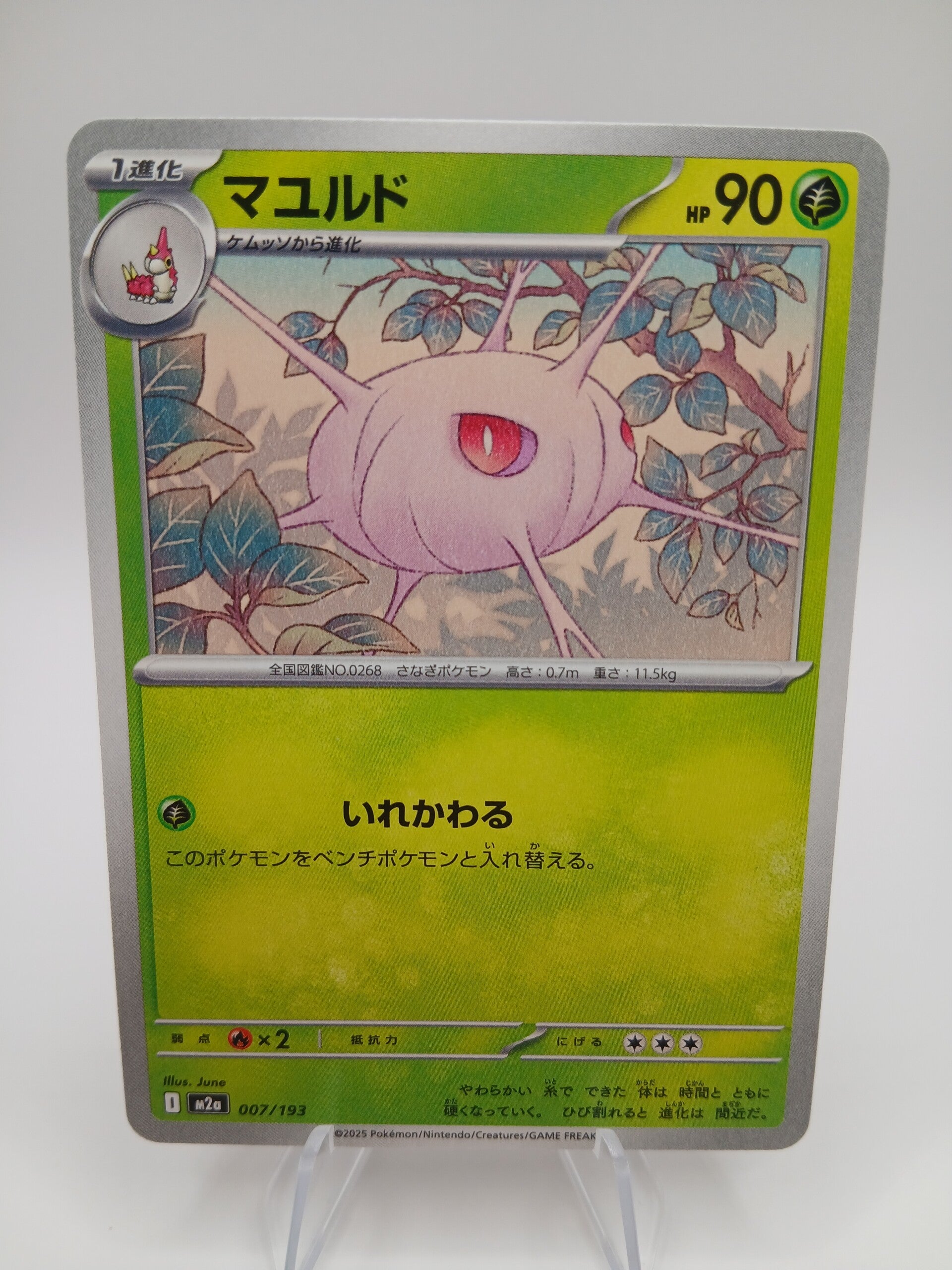 pokemon - cascoon - 7 - mega dream ex - normal - japans