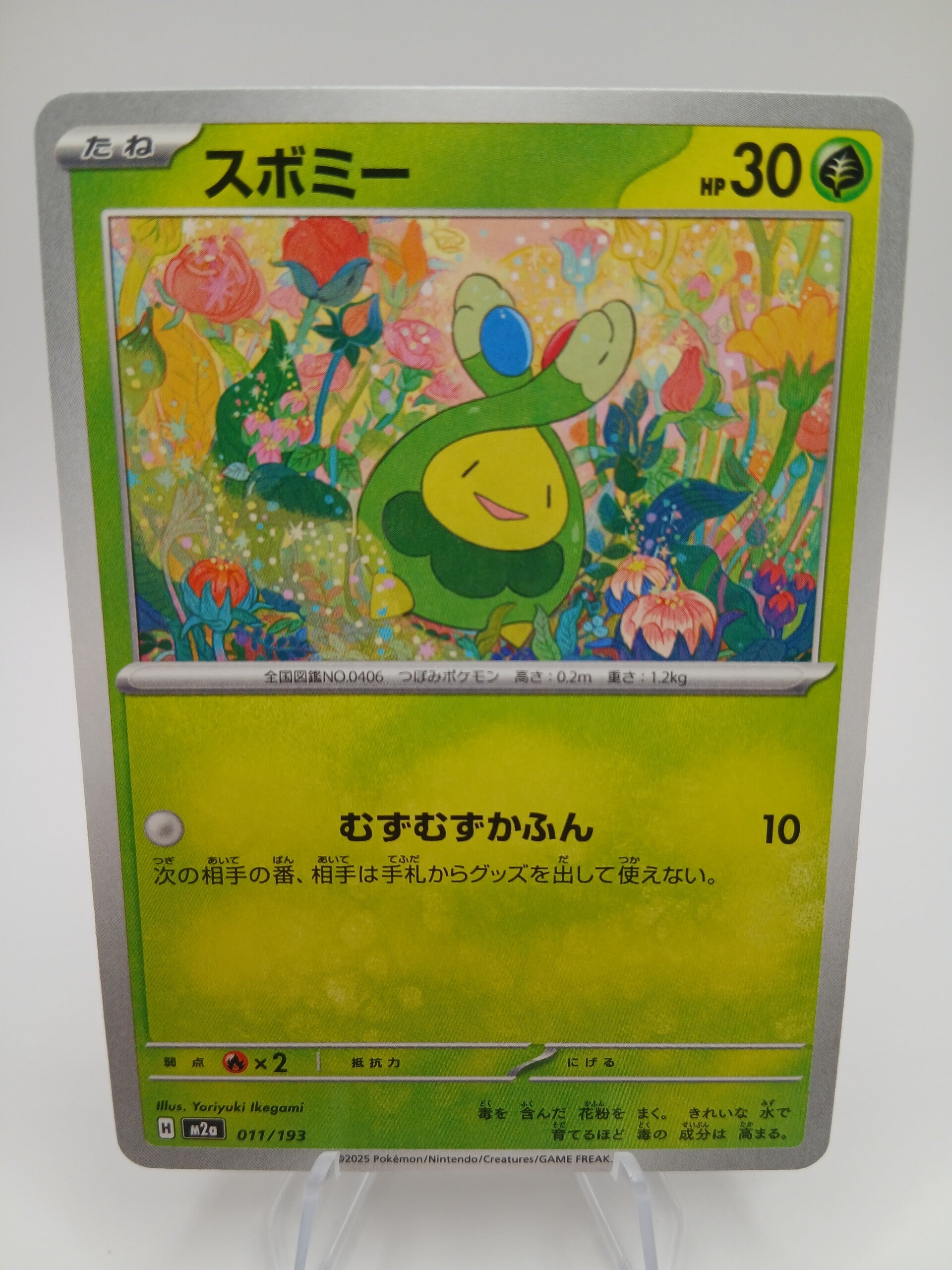 pokemon - budew - 11 - mega dream ex - normal - japans