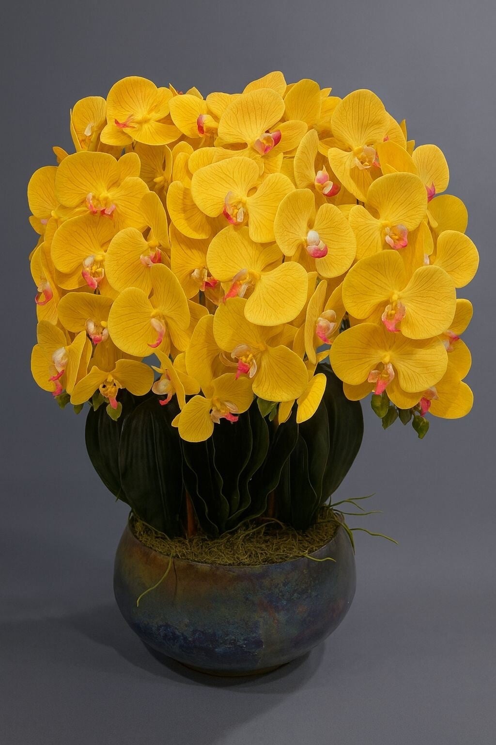 Anna Artificial Orchid Arrangement