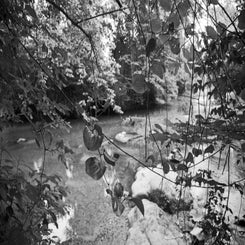 by-mike-shaw_reedycreekparkhike_28jun25-17-standard.jpg