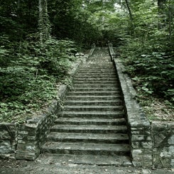 by-mike-shaw_reedycreekparkhike_28jun25-4-standard.jpg