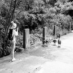 by-mike-shaw_reedycreekparkhike_28jun25-7-standard.jpg