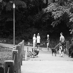 by-mike-shaw_reedycreekparkhike_28jun25-8-standard.jpg