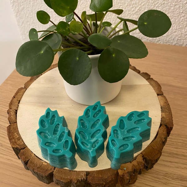 Fondant artisanal à la cire de soja à la Pomme d'amour