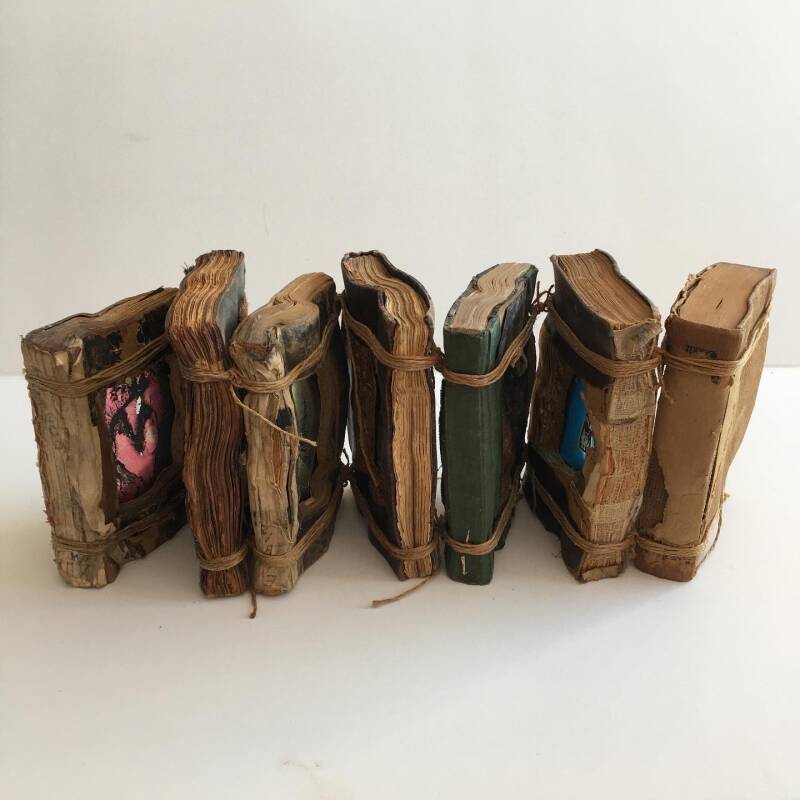 Kunstenaar: Antwan Hoedemakers  -  Titel: Captured stories  "Als verhalen niet worden vastgelegd zullen ze uiteindelijk vervagen."  Heb dit werk gemaakt ter nagedachtenis aan mijn lieve kat. Een stoere rakker die veel heeft meegemaakt en doorstaan. Hij kw