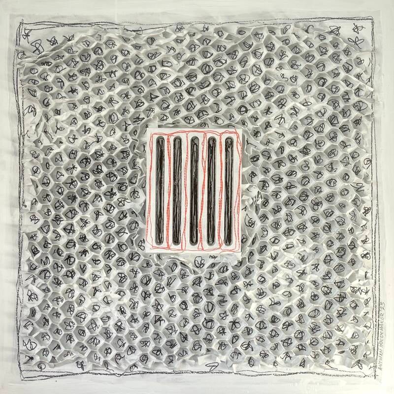 Kunstwerk gemaakt door Antwan Hoedemakers. Een werk in wit tinten met daarop zwarte krabbels. Deze krabbels bevinden zich in een soort honingraat structuur. Het is een levendig geheel door het dynamisch "handschrift" van de krabbels