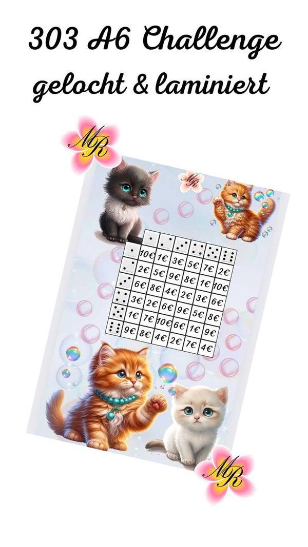A6 Challenge 303 Katzen Bingo