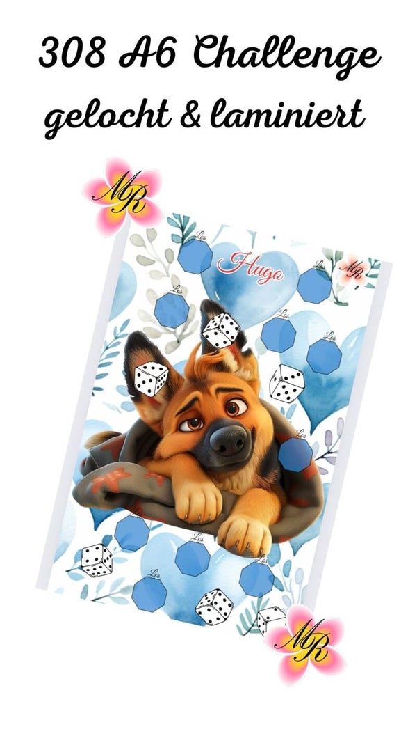 A6 Challenge 308 Hugo