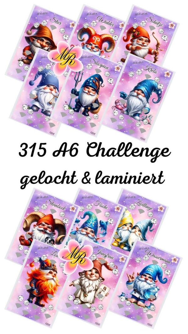 A6 Challenge Sternzeichen Gnome