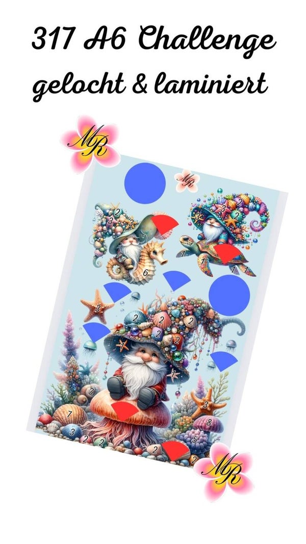 A6 Challenge 317 Unterwasser-Gnome