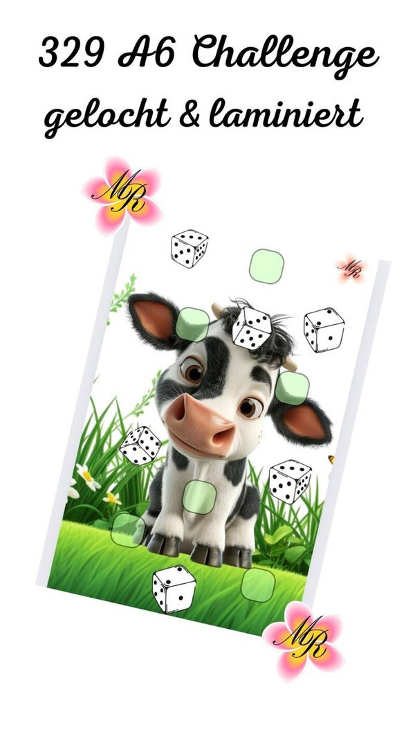 A6 Challenge 329 Kuh