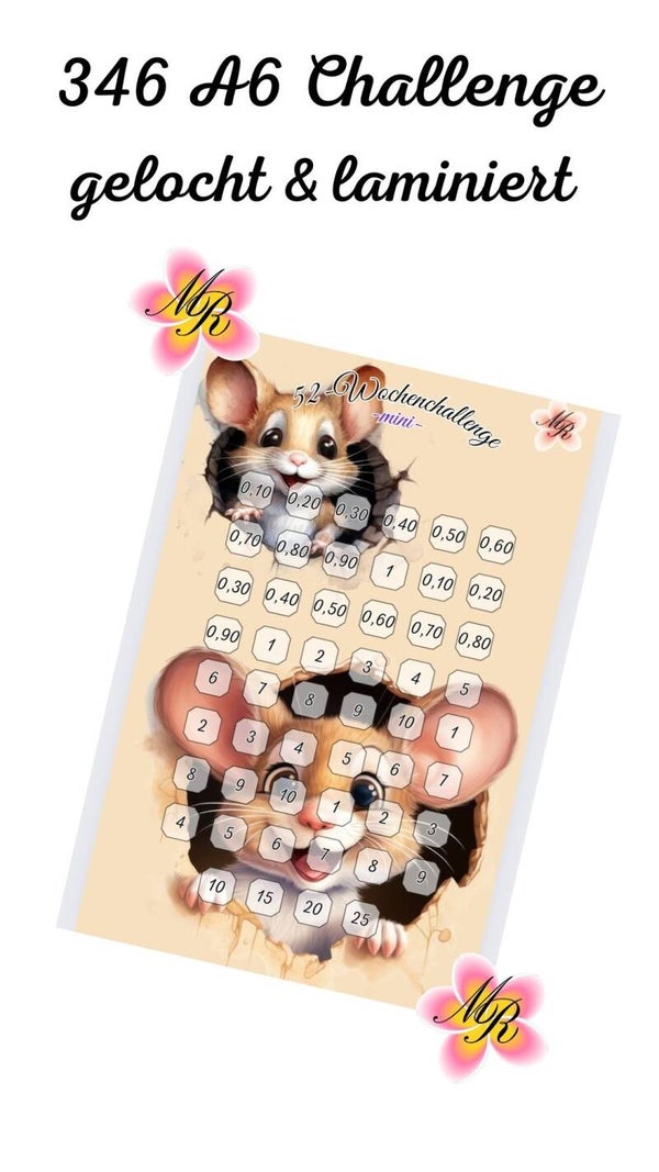A6 Challenge 346 52-Wochen-Challenge mini Maus