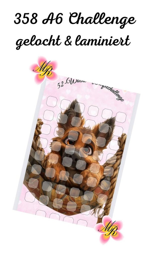 A6 Challenge 358