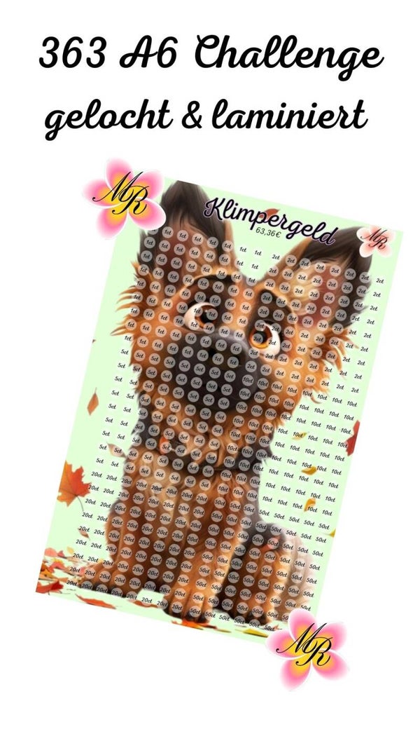 A6 Challenge 363 Klimpergeld