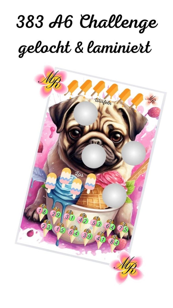 A6 Challenge 383 Mops