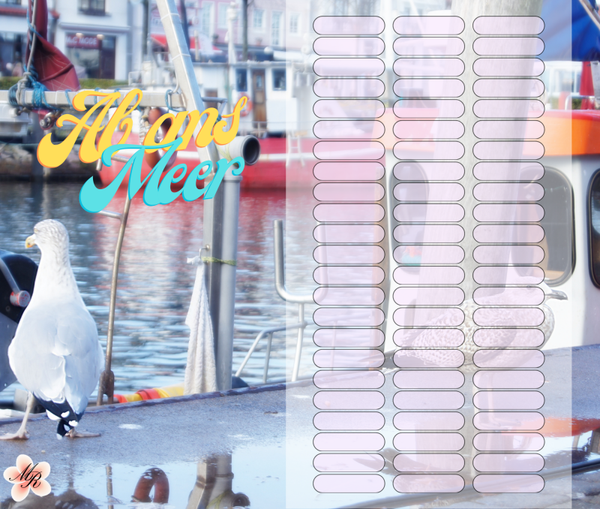 A6 Challenge 566 Ab ans Meer