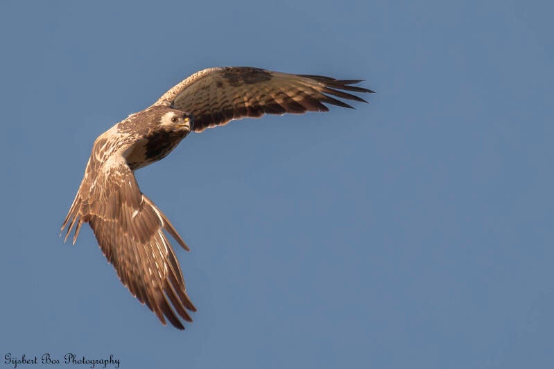 dsc_0299-standard-xw2wte.jpg