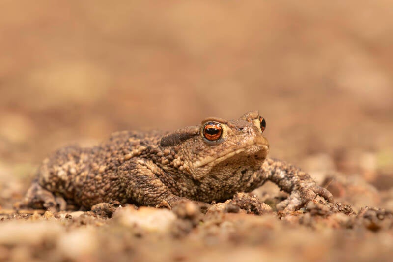 dsc_5493-standard.jpg