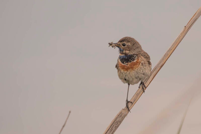 dsc_5899-standard.jpg