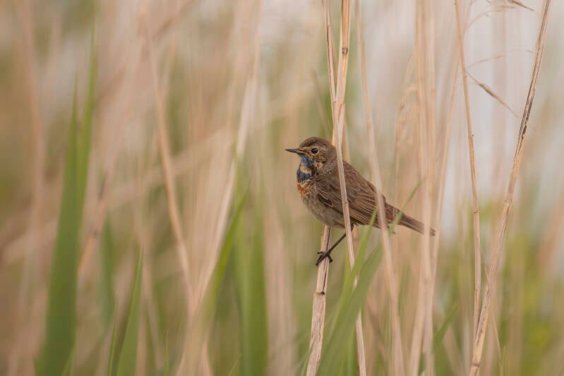 dsc_5902-standard.jpg