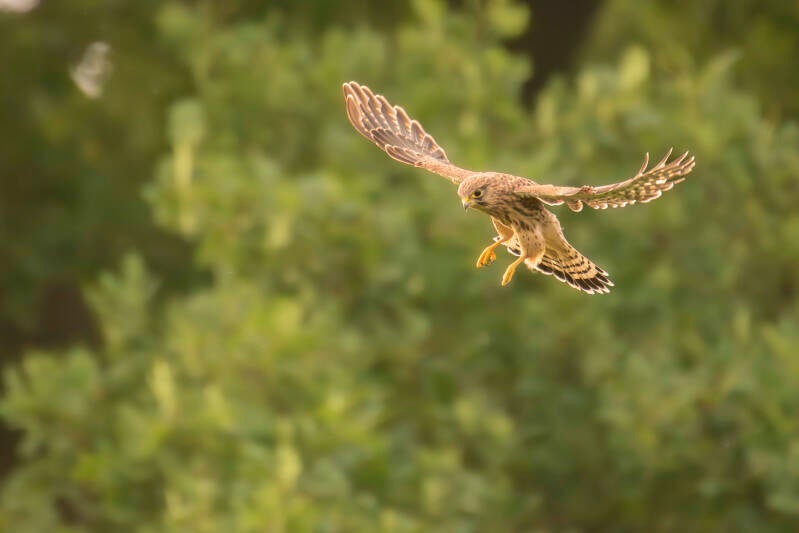 dsc_6759-standard.jpg