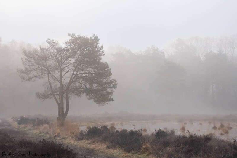 dsc_6964-standard-8d9ni9.jpg