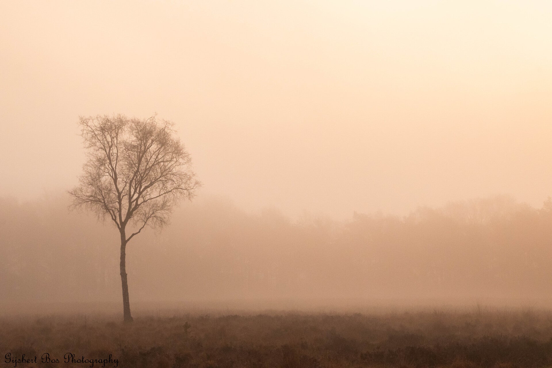 Zonsondergang met spiegeling op water - Natuurfoto Gijsbert Bos