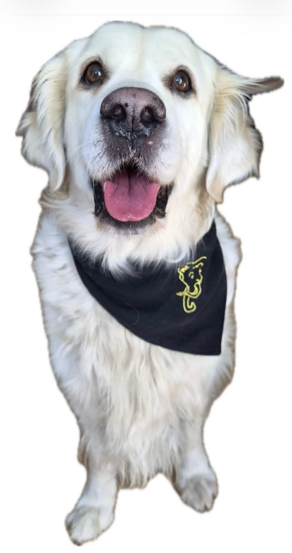 Mammutmarsch Hundehalstuch