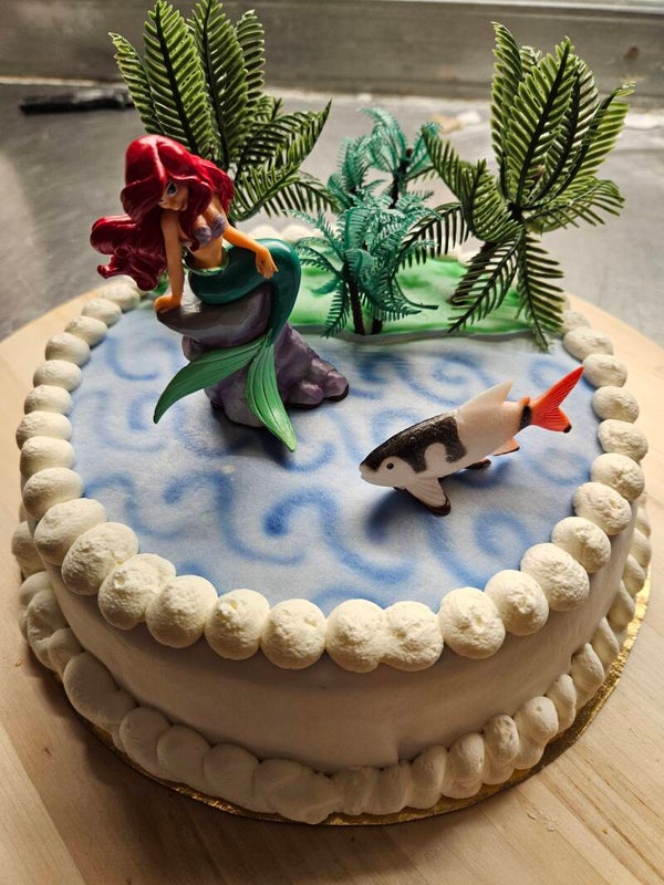 de kleine zeemeermin