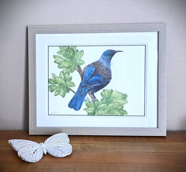 Tui Story