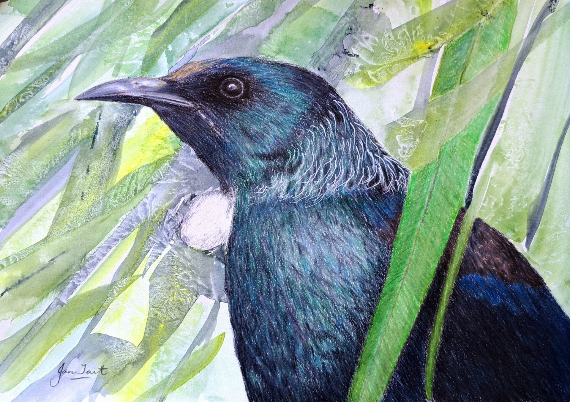 Tui Beauty