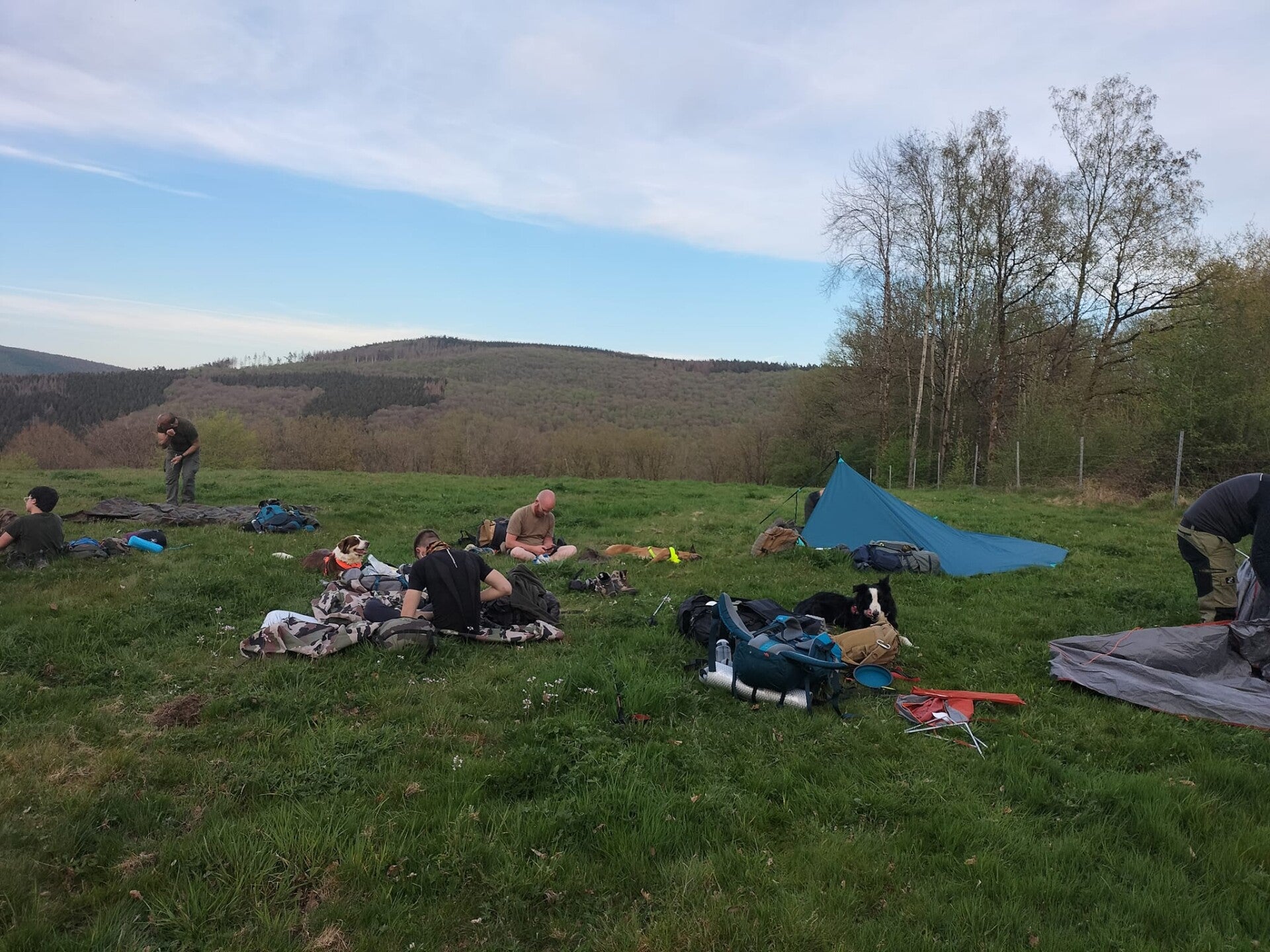 stage immersion 7 jours