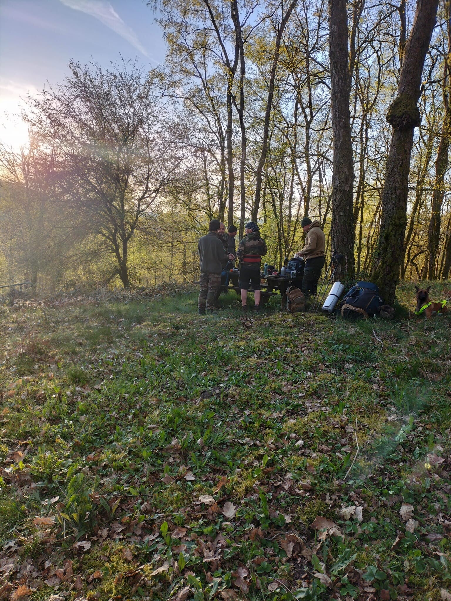 stage immersion 5 jours