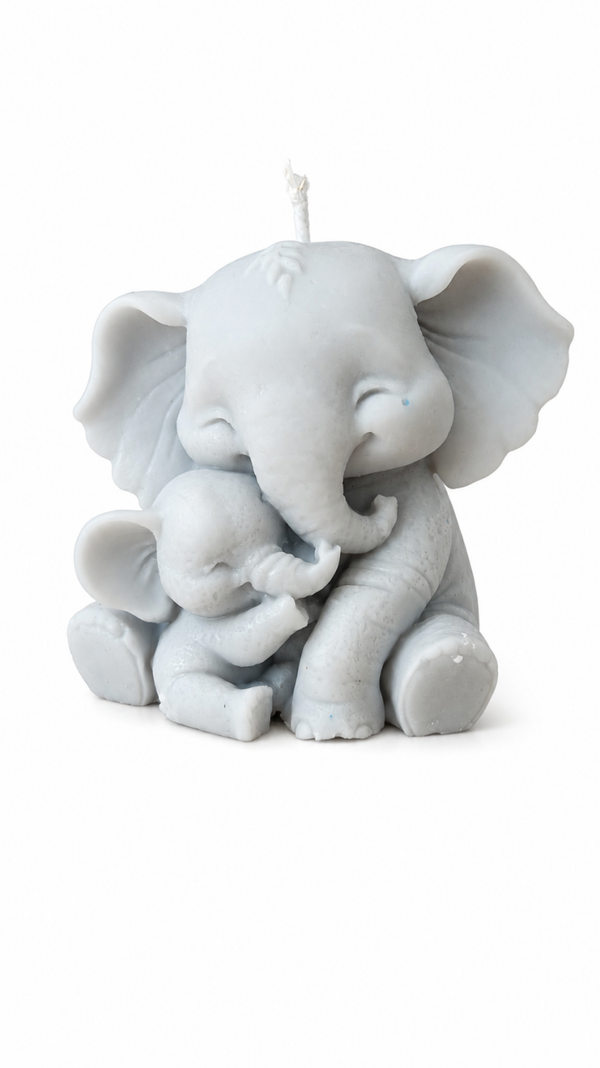 Olifant met baby