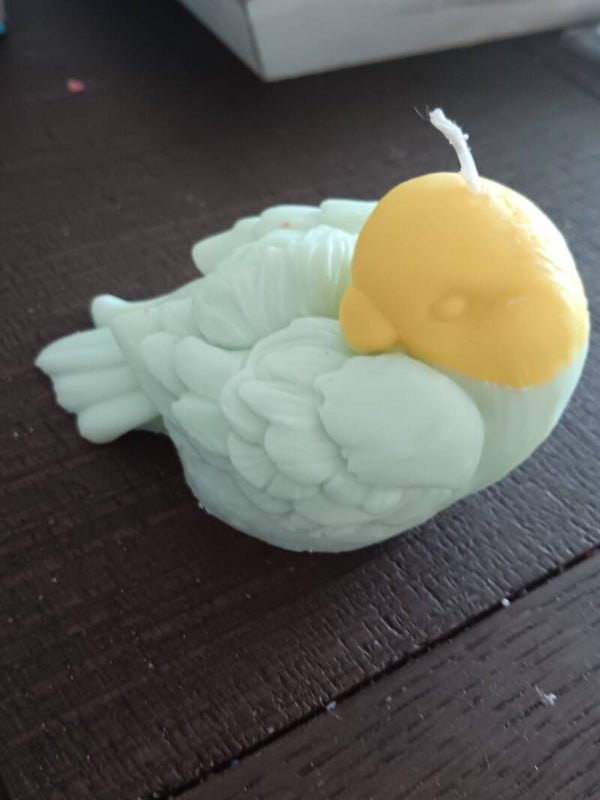 vogel