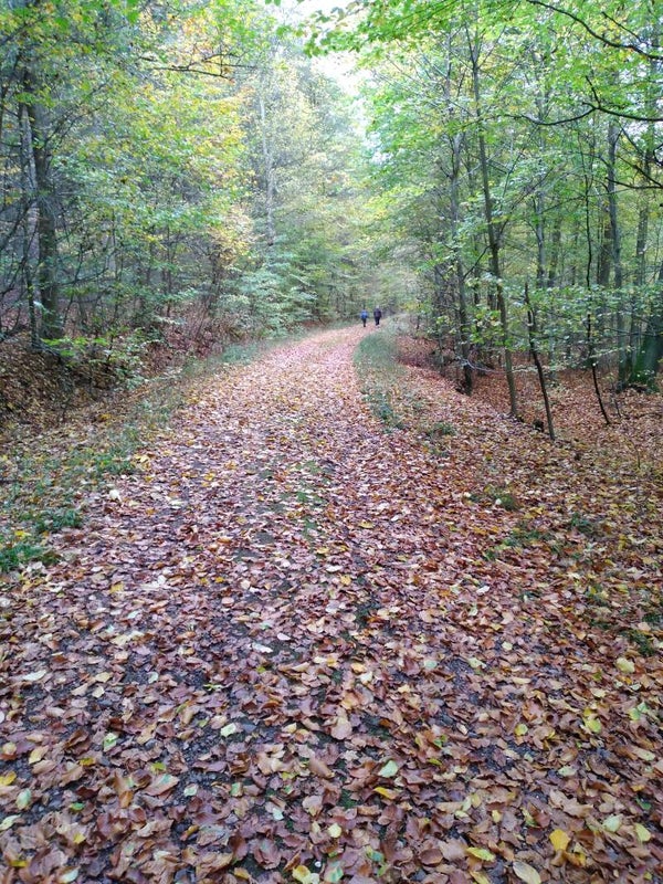 Traject innerlijk kompas