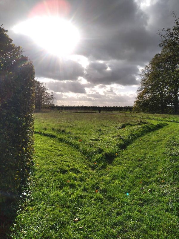 Astrologische transities ontdekken 1,5