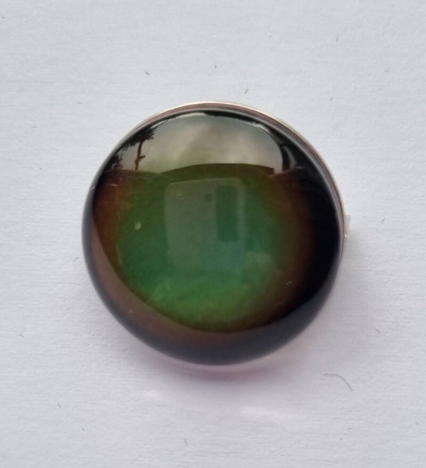 Broche rvs 20 mm cabochon meekleurend