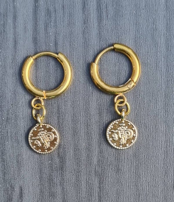 Minimalistische oorringetjes goudkleur met muntjes