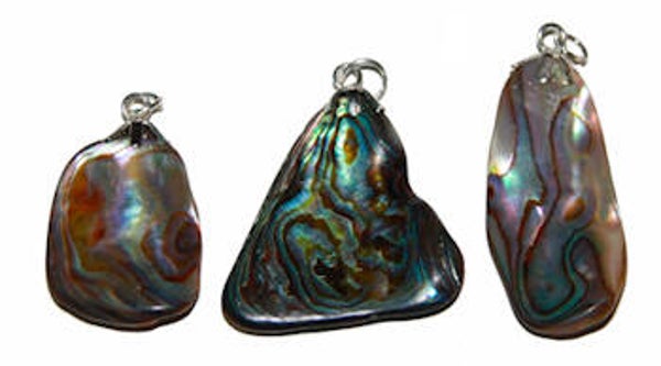 Abalone schelp hanger