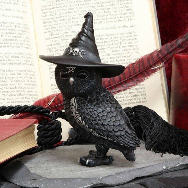 Beeld Owlocen Heksenhoed Occult Uil