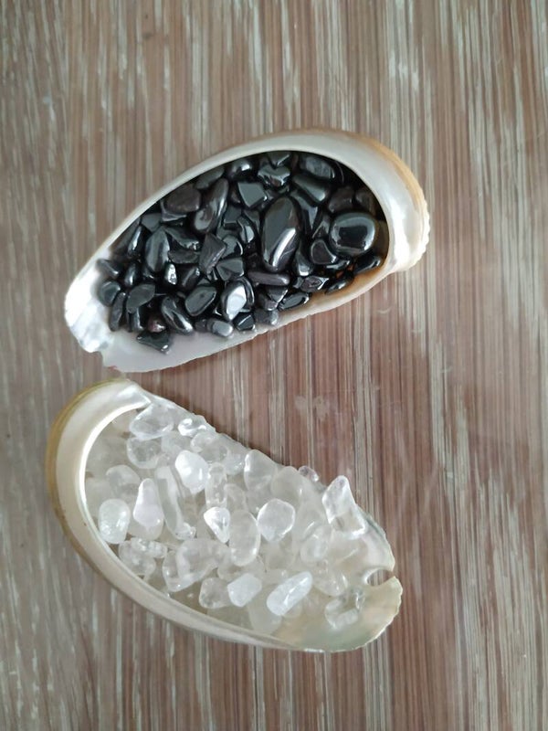 Set kleine Abalone schelpen met steentjes