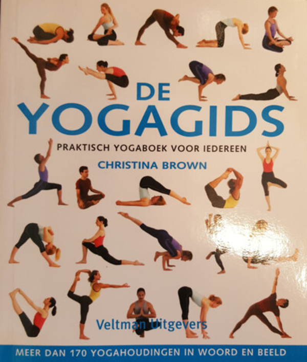 De yogagids - tweedehands