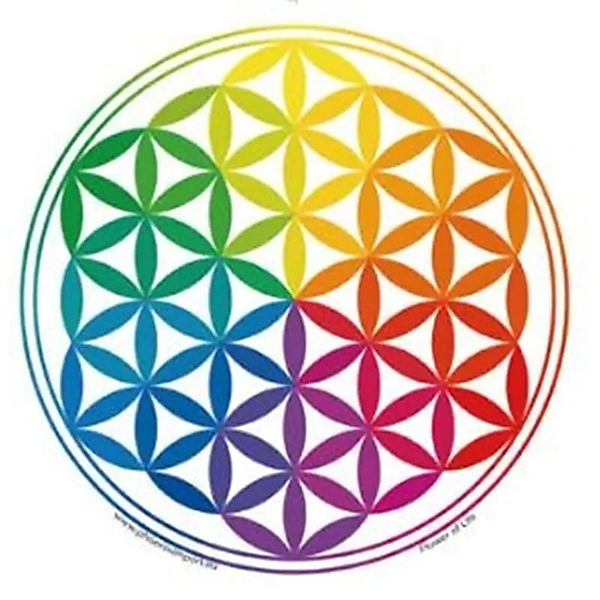 Raamsticker Flower of Life levensbloem