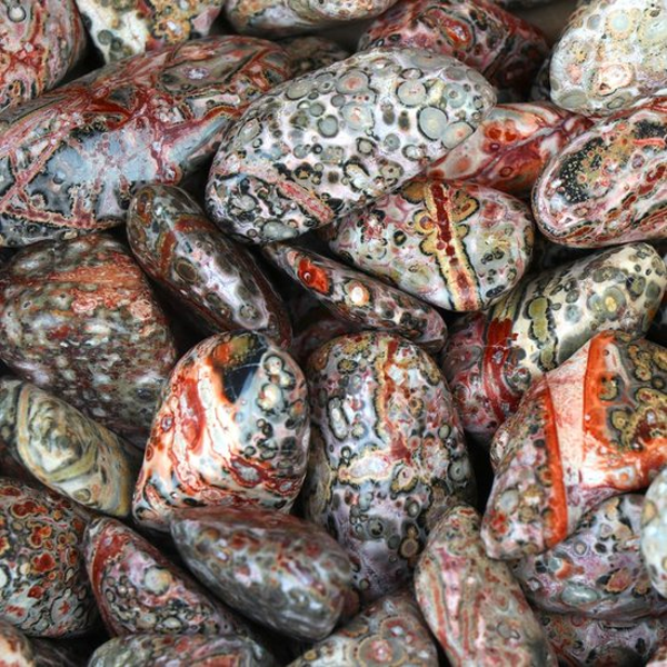 Luipaardjaspis trommelsteentjes