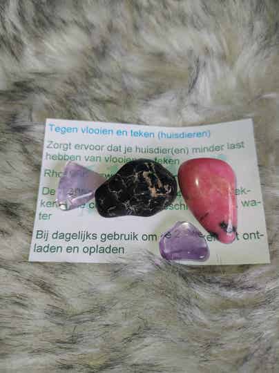 Tegen vlooien en teken (huisdieren)